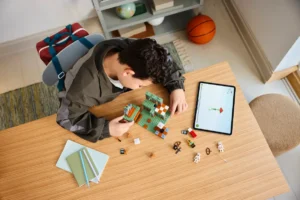 لگو ماینکرفت 21271