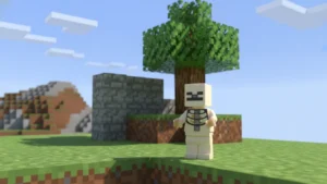 لگو ماینکرفت اسکلت